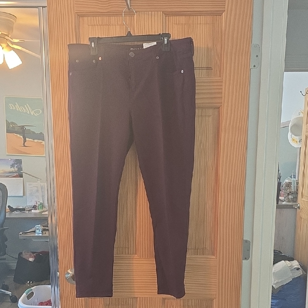 STYLUS Deep Purple Pants